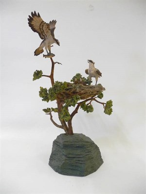 Lot 1000 - Border Fine Arts 'Ospreys' with nest, chicks and fish, model No. L38 by Ray Ayres,  Ltd....