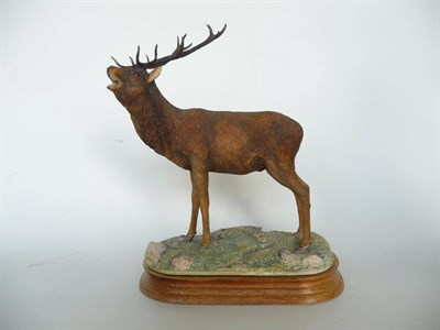 Lot 1001 - Border Fine Arts 'Red Stag' style one, model No. L20 by Ray Ayres, Ltd. edition No. 510/750, 21.6cm