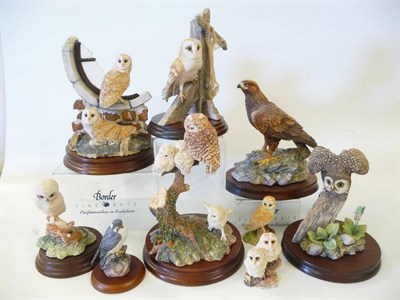 Lot 1004 - Nine Border Fine Arts Birds of Prey including 'Barn Owl on Roof Beams', Model No. RB30; 'Golden...