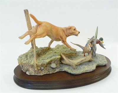 Lot 1015 - Border Fine Arts 'Disturbing the Peace' golden labrador and mallard, model No. L80 by Ray...