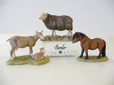 Lot 1038 - Border Fine Arts 'Herdwick Ewe', model No. 118 by Ray Ayres, 10.1cm high; 'Emily's Joy' brown...