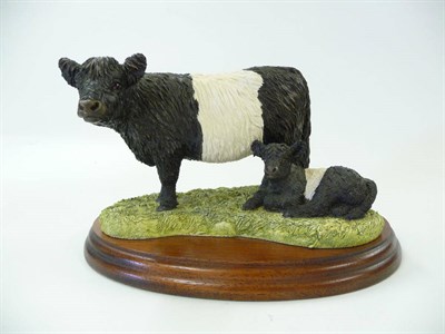 Lot 1047 - Border Fine Arts 'Galloway Belted Cow and Calf' style one, model No. B0005B by Anne Wall,...