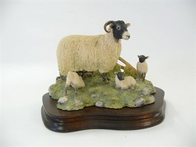 Lot 1048 - Border Fine Arts 'Spring Lambing' Swaledale ewe and three lambs, model No. JH6 by Ray Ayres, 11.9cm