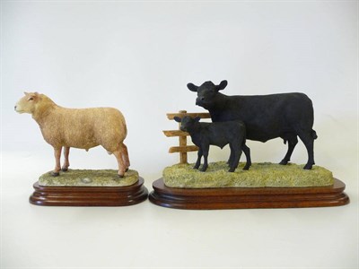 Lot 1049 - Border Fine Arts 'Aberdeen Angus Cow and Calf', model No. BO204 by Kirsty Armstrong, Ltd....