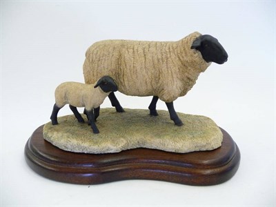 Lot 1054 - Border Fine Arts 'Suffolk Ewe and Lamb', model No. 119 by Ray Ayres, dated 1990, 10.8cm high on...