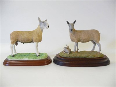 Lot 1058 - Border Fine Arts 'Blue Faced Leicester Ewe and Lambs', model No. L31 by Ray Ayres, Ltd. edition No.