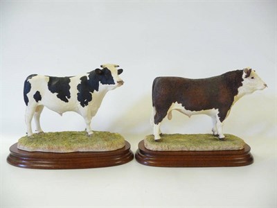 Lot 1060 - Border Fine Arts 'Holstein Bull', model No. BO308 by Kirsty Armstrong, Ltd. edition No....