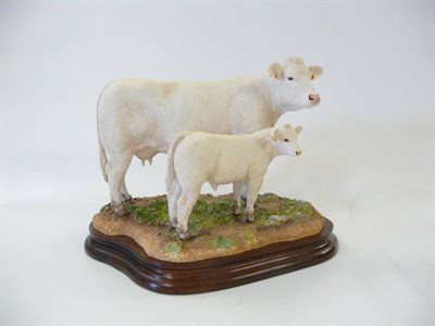 Lot 1062 - Border Fine Arts Charolais Cow and Calf, model No. B1217 by Kirsty Armstrong, Ltd. edition No....