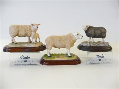 Lot 1064 - Border Fine Arts 'Herdwick Ewe', model No. 118 by Ray Ayres, 10.1cm high; 'Texel Ram', No. A0736 by