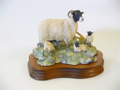 Lot 1065 - Border Fine Arts 'Spring Lambing' Swaledale ewe and three lambs, model No. JH6 by Ray Ayres, 11.9cm