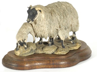 Lot 1067 - Border Fine Arts 'Blackfaced Ewe and Lambs' style one, model No. L25 by Mairi Laing Hunt, Ltd....