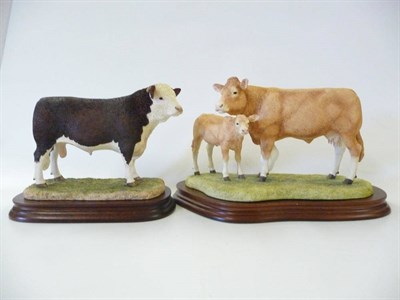 Lot 1068 - Border Fine Arts 'Blonde D'Aquitaine Cow and Calf', model No. BO353 by Kirsty Armstrong, Ltd....