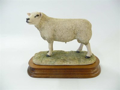 Lot 1070 - Border Fine Arts 'Texel Ram' style one, model No. L108 by Ray Ayres, Ltd. edition No. 307/850,...