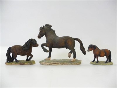 Lot 1075 - Border Fine Arts 'Welsh Cob Stallion' section D, model No. BO240B By Anne Wall, bay, Ltd....