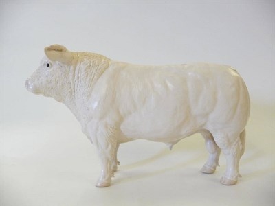 Lot 1093 - Shebeg Charolais Bull modelled by John Harper, Isle of Man, cream satin matt, marked Charolais...