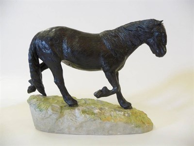 Lot 1101 - Shebeg Fell Pony walking, modelled by John Harper, Isle of Man, black satin matt, 15.2cm high...