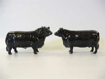 Lot 1133 - Beswick Aberdeen Angus Bull, model No. 1562, 11.9cm high and Aberdeen Angus Cow, model No....