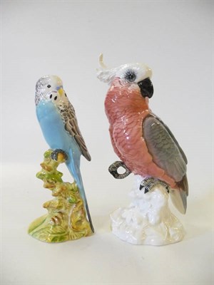 Lot 1141 - Beswick Budgerigar facing left, model No. 1216B, blue and grey gloss, 17.8cm high and Cockatoo,...