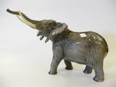 Lot 1153 - Large Beswick Elephant trunk stretching, model No. 998, grey/brown gloss, 26cm high