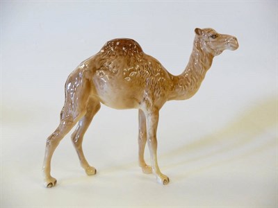 Lot 1156 - Beswick Camel, model No. 1044, light brown/fawn gloss, 17.8cm high