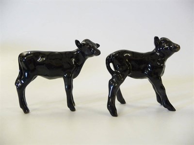 Lot 1160 - Beswick Aberdeen Angus Calf, model No.1406A, 7.6cm high and Aberdeen Angus Calf, model No....