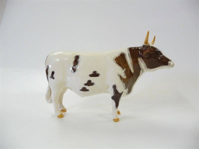 Lot 1161 - Beswick Ayrshire Bull Ch. 'Whitehill Mandate', model No. 1454B, brown and white gloss, 13.3cm high