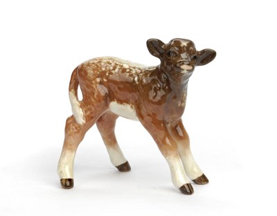 Lot 1166 - Beswick Dairy Shorthorn Calf, model No. 1406C, brown and white with shading, gloss, 7.6cm high