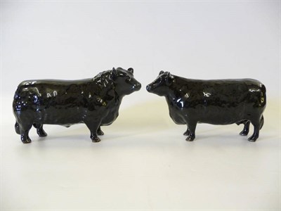 Lot 1170 - Beswick Aberdeen Angus Bull, model No. 1562, 11.9cm high and Aberdeen Angus Cow, model No....