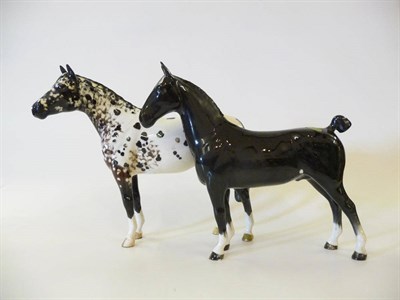 Lot 1172 - Beswick Hackney Horse 'Black Magic of Nork', model No. 1361, black gloss, 19.7cm high and Appaloosa