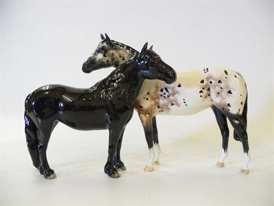 Lot 1181 - Beswick Fell Pony 'Dene Dauntless', model No. 1647, black gloss, 17.2cm high and Appaloosa...