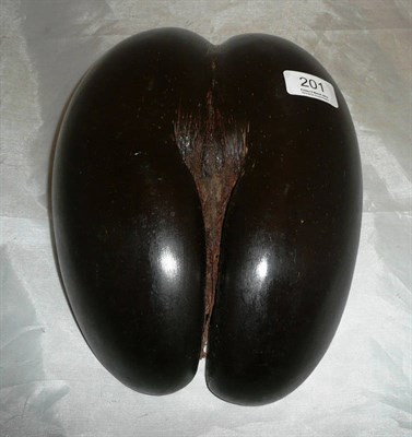 Lot 201 - A Coco de mer