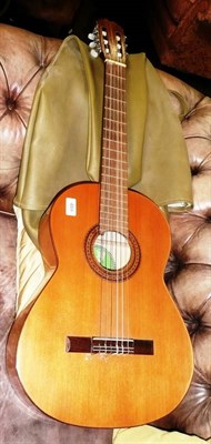 Lot 489 - A Malaga acoustic guitar with soft case