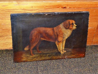 Lot 428 - A 19th century oil on canvas of a St Bernard dog, signed and dated