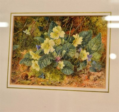 Lot 457 - A frame watercolour of primroses signed J J Hardwick RWS