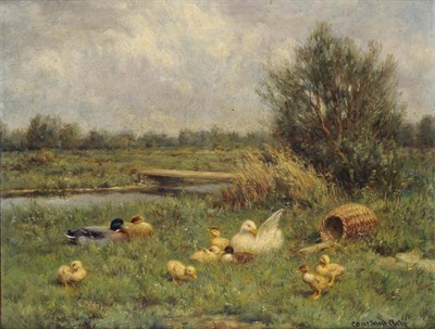 Lot 555 - Constant Artz (1870-1951) Dutch Ducks and ducklings at rest beside a river in a summer...