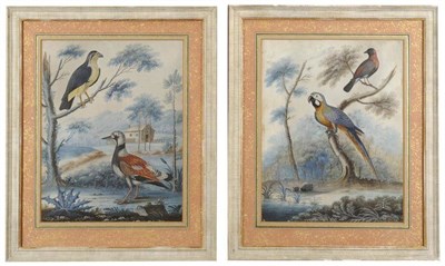 Lot 562 - William Hayes (1735-1802) Exotic and indigenous birds within a landscape Each signed and dated...