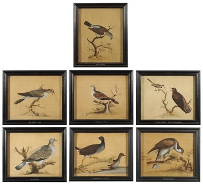 Lot 563 - William Hayes (1735-1802)  "Hen Harrier "  "The Cuckoo Male "  "The Moorhen Male and Female ",...