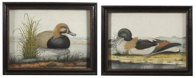 Lot 564 - William Hayes (1735-1802)  "The Pochard " The Mallard Signed and dated 1773 and 1774,  "The Pochard