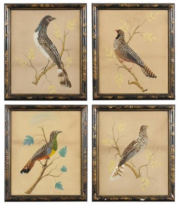 Lot 565 - Circle of William Hayes (18th century) A set of four birds depicted on painted branches The...