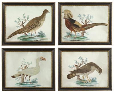 Lot 566 - Circle of William Hayes (18th century) A set of four birds depicted on painted branches The...