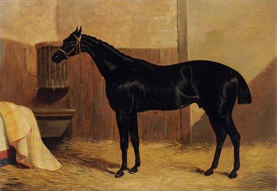 Lot 573 - John Dalby (1810-1865)  A portrait of the horse  "Jack Spigot " in a stable Oil on canvas, 25cm...