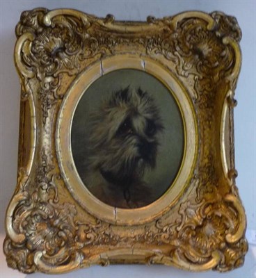 Lot 579 - Miss Agnes Dundas (fl.1863-1873)  Head study of a terrier  Signed and dated 1867, oil on...