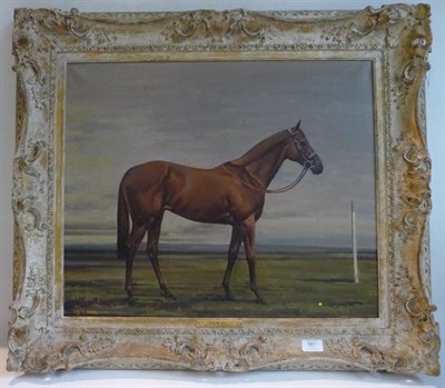 Lot 581 - Richard John Munro Dupont (1920-1977)  "Cashel, by Caigre of Crested Gem, 1858 " - a chestnut horse