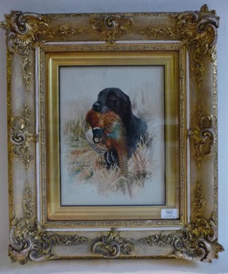 Lot 583 - Rueben Ward Binks (1880-1950)  "Type of Whitmore " - a black Labrador retrieving a pheasant  Signed