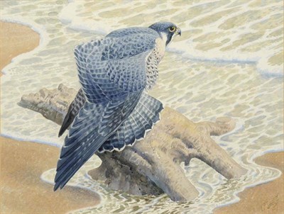 Lot 584 - Charles Frederick Tunnicliffe RA, RE, ARCA (1901-1979)  "Siesta's End " Signed, pencil and...