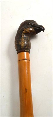 Lot 281 - An exotic bird handled walking stick stamped ANTOINE