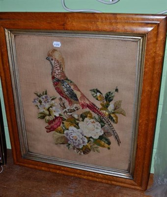 Lot 398 - A woolwork study of an exotic bird in a birdseye maple frame