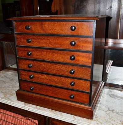 Lot 446 - Mahogany collector's cabinet