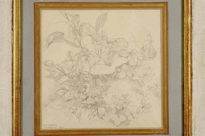 Lot 637 - Eliot Hodgkin (1905-1953)  A still life of wild strawberries Signed, inscribed  "Grindelwald "...