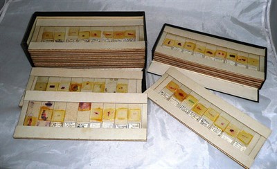 Lot 1024 - Two Boxes of Prepared Microscope Slides, approximately one hundred and fifty slides, mainly...